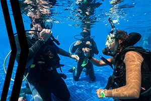 Dive Certification